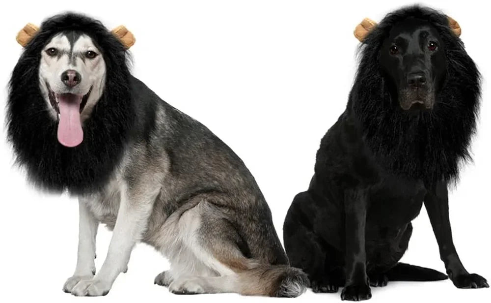 Fantasia fofa de Leão para cachorros - Petzin ®